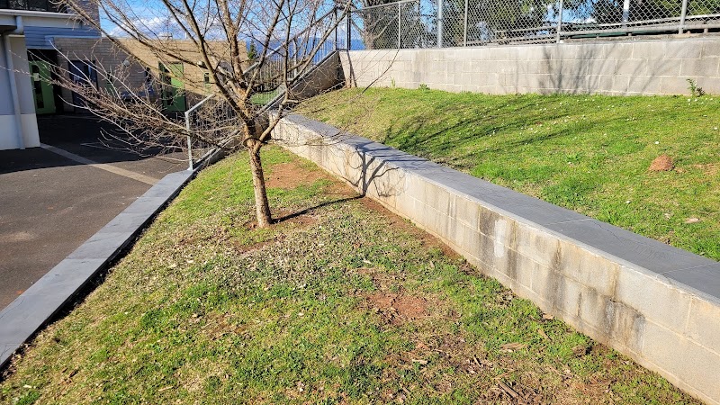 Valley Care - Garden Maintenance & Landscaping project 6