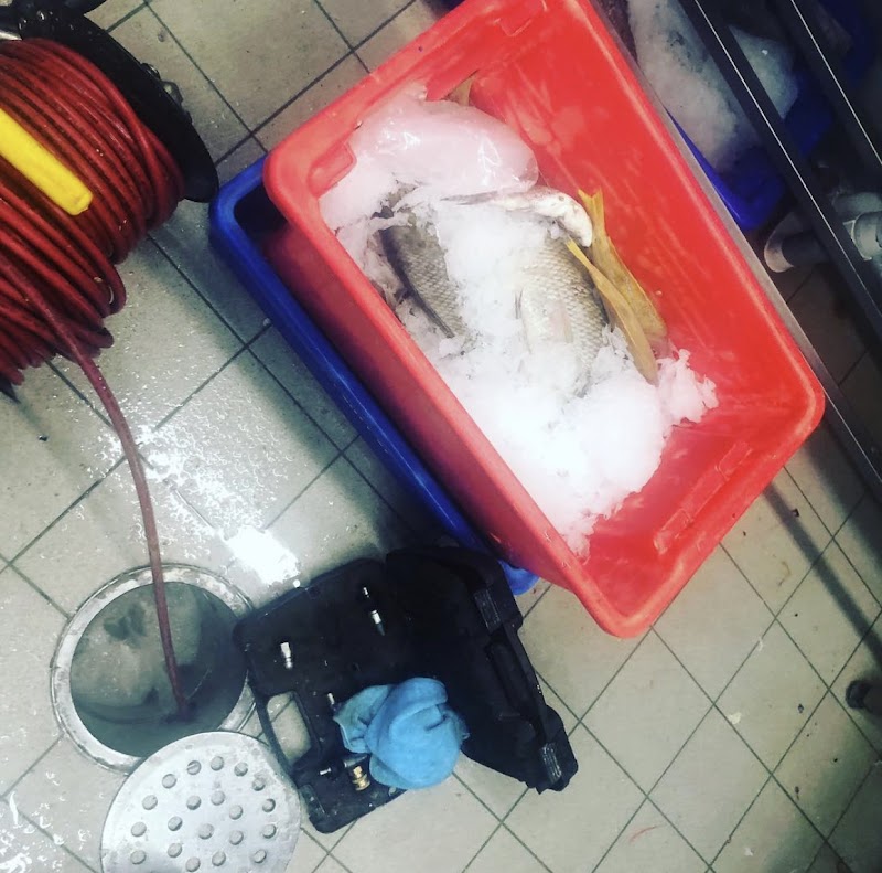 VELCO Plumbing and Gas project 7