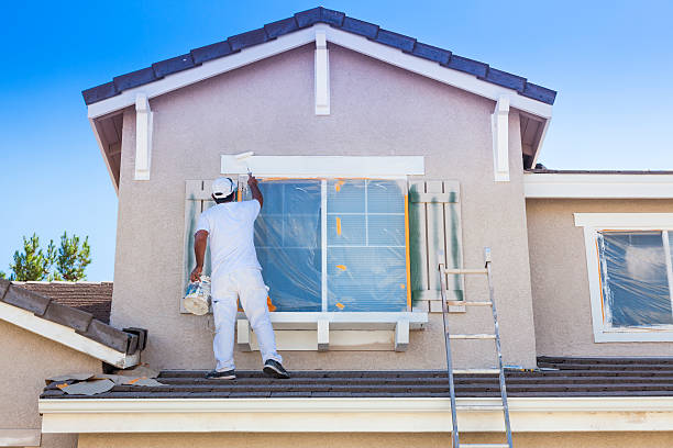 Vic expert painting and decorating service work 4