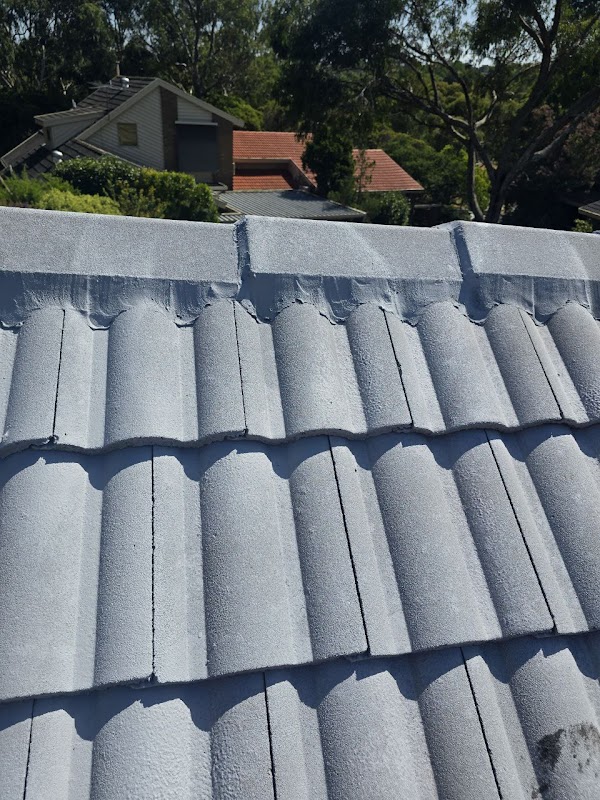 Vicroofing Services & Maintenance work 2