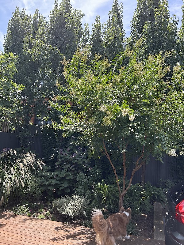 VividGreen project 6