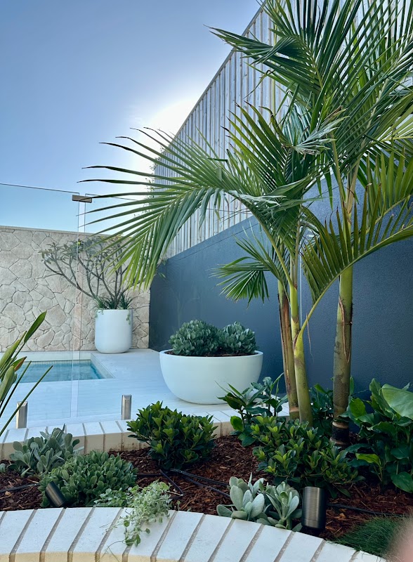 Vogue & Vine - Landscape Designers Sydney project 7