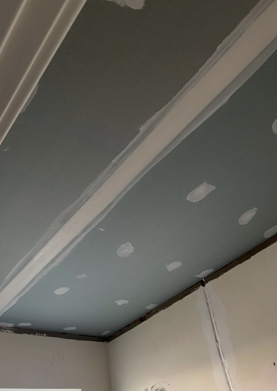 WA Ceiling Repairs project 8