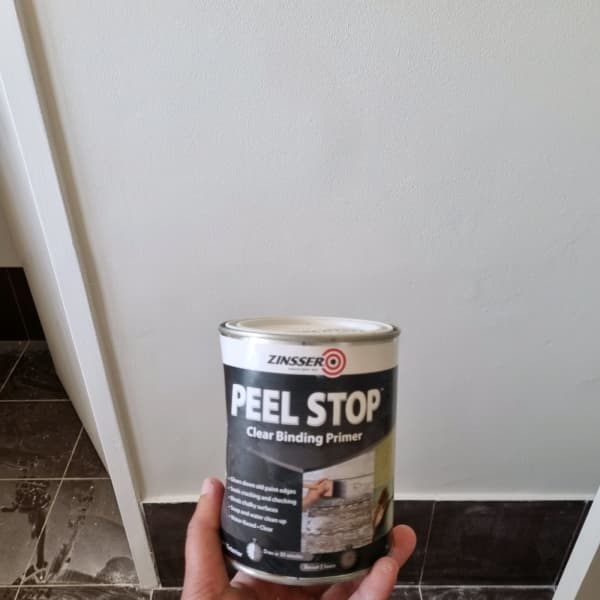 WA Prep and Painting project 5