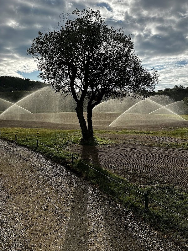 WA PRO IRRIGATIONS AND LANDSCAPE. project 8