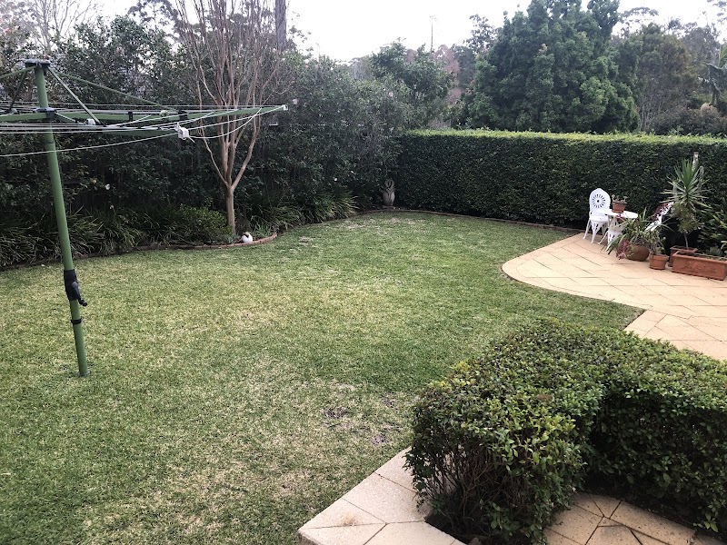 Wahroonga Lawn & Leaf work 1
