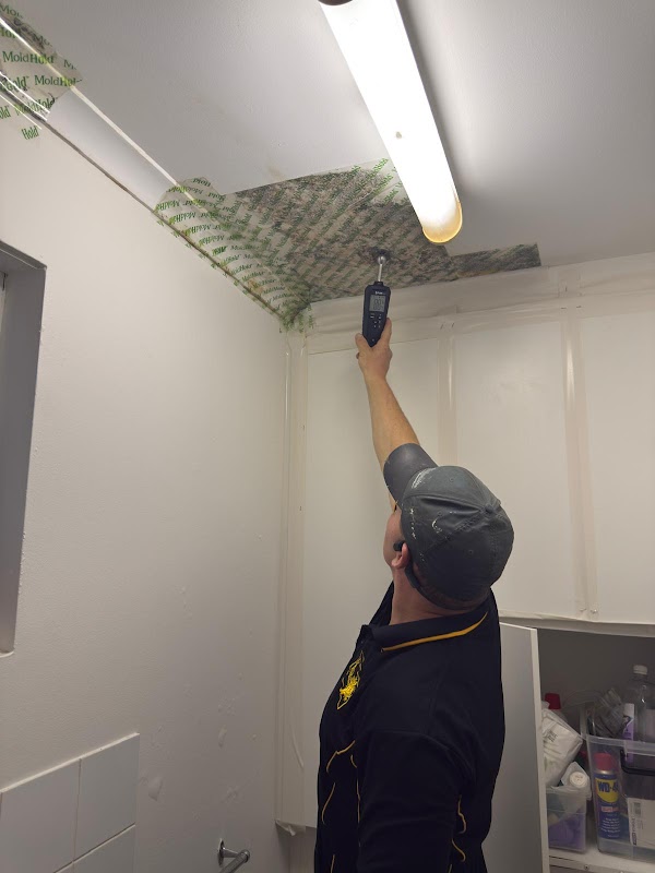 WANT Inspection Services work 4