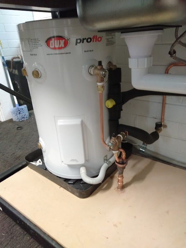 Wasp Plumbing work 4