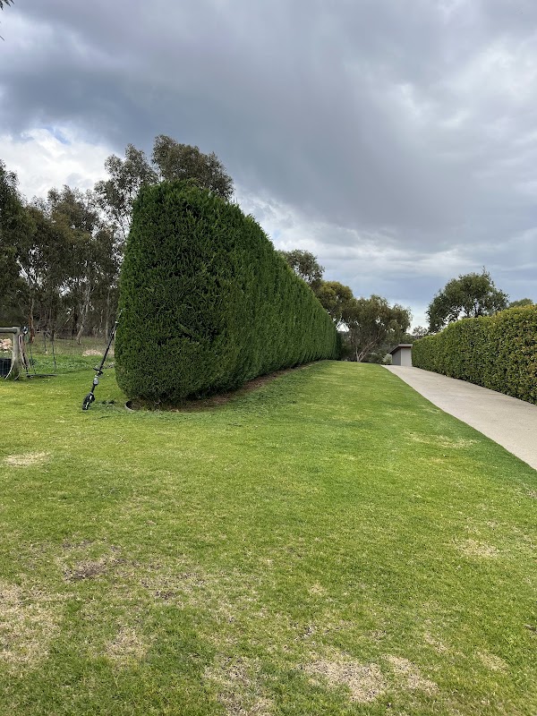 Wattle & Gum Gardens project 6