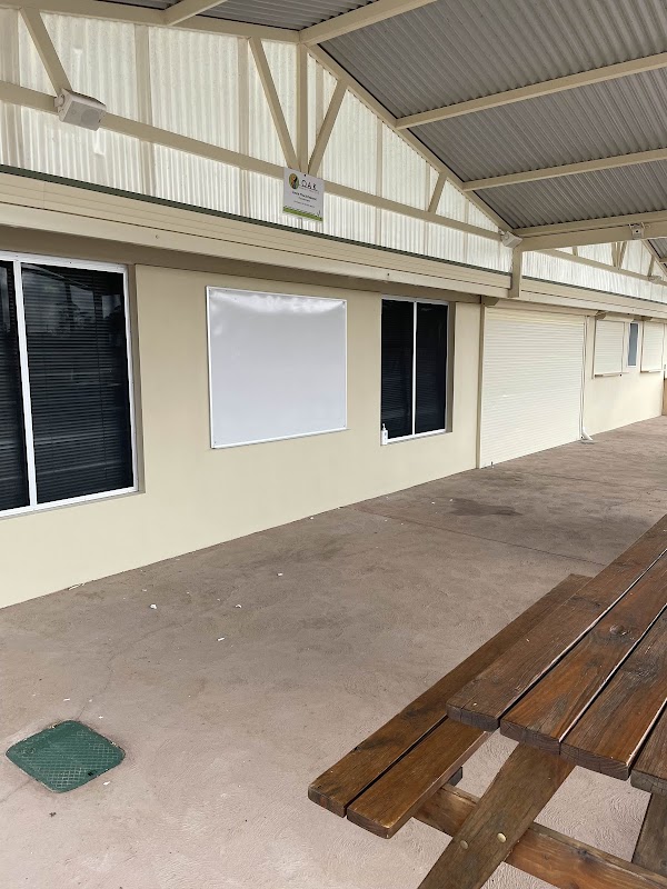 Wattle Painting project 5