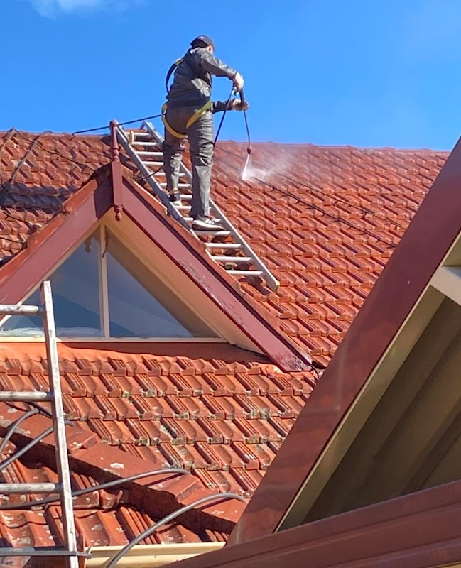 Wedge tailed roof repairs work 1