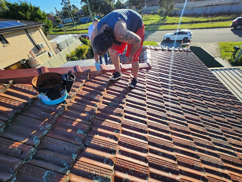 Wedge tailed roof repairs work 4