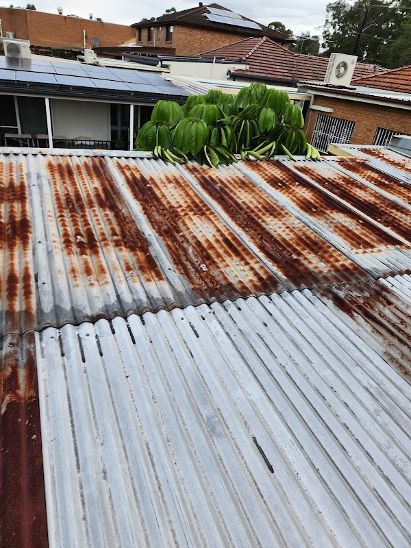 Wedge tailed roof repairs project 9