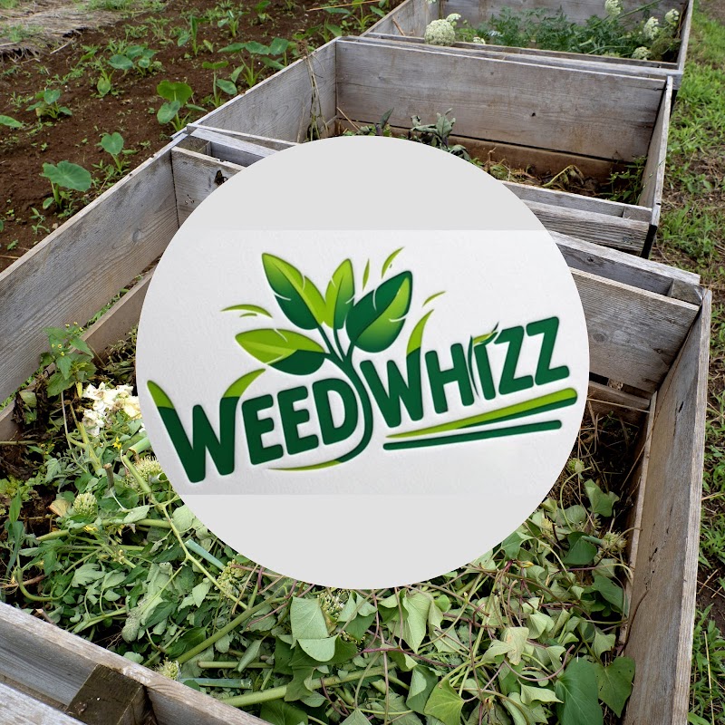 Weedwhizz work 1