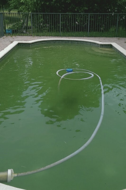 Western Pool Care project 7