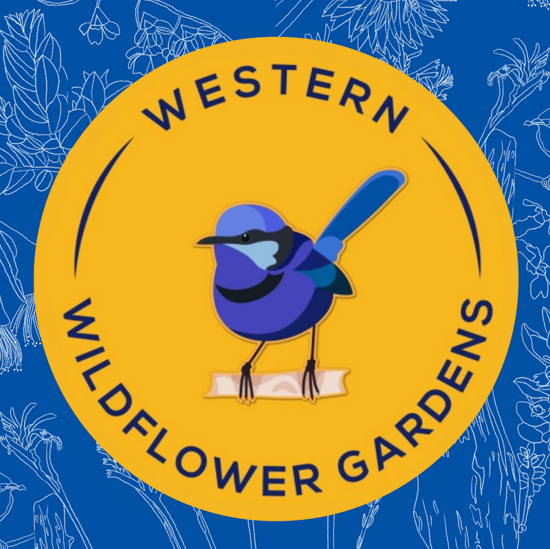 Western Wildflower Gardens project 5