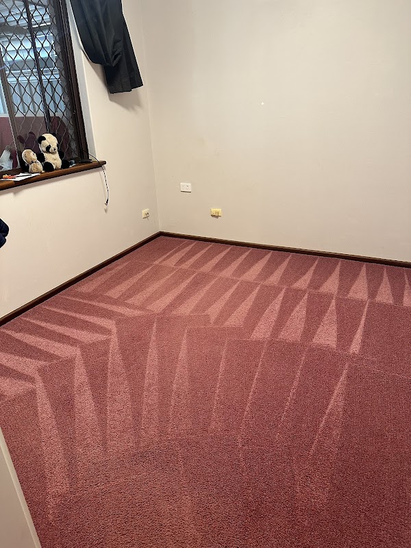 What Mess Cleaning Services work 4