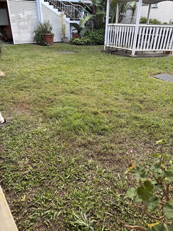 Whole Yards work 1