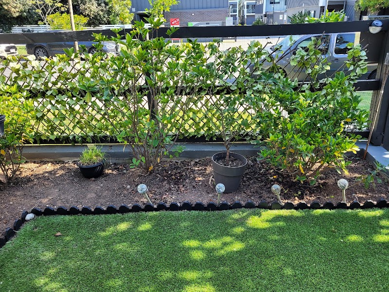 Whole Yards work 2