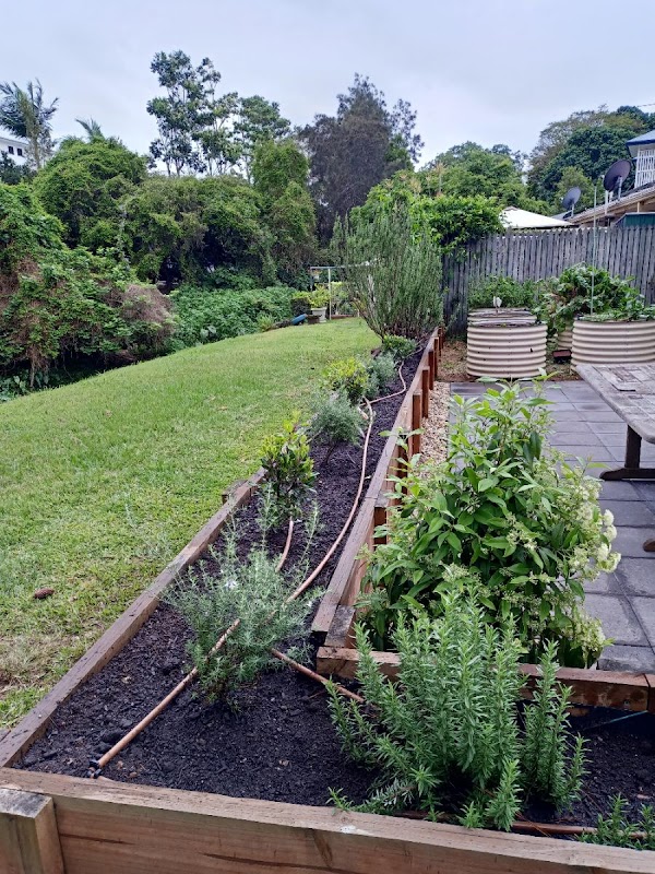 Whole Yards project 7
