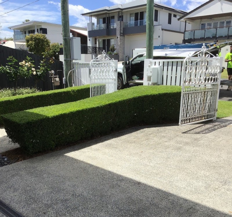 Whole Yards project 8