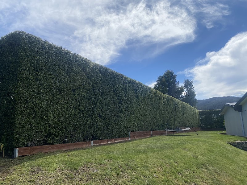 Why Arb- Arborist and Grounds Maintenance Hobart project 5