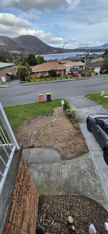 Why Arb- Arborist and Grounds Maintenance Hobart project 7