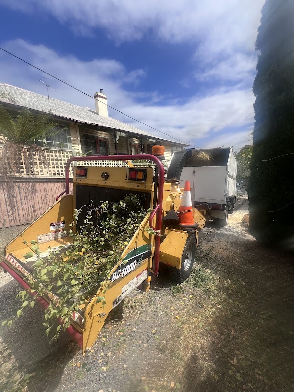 Why Arb- Arborist and Grounds Maintenance Hobart project 10