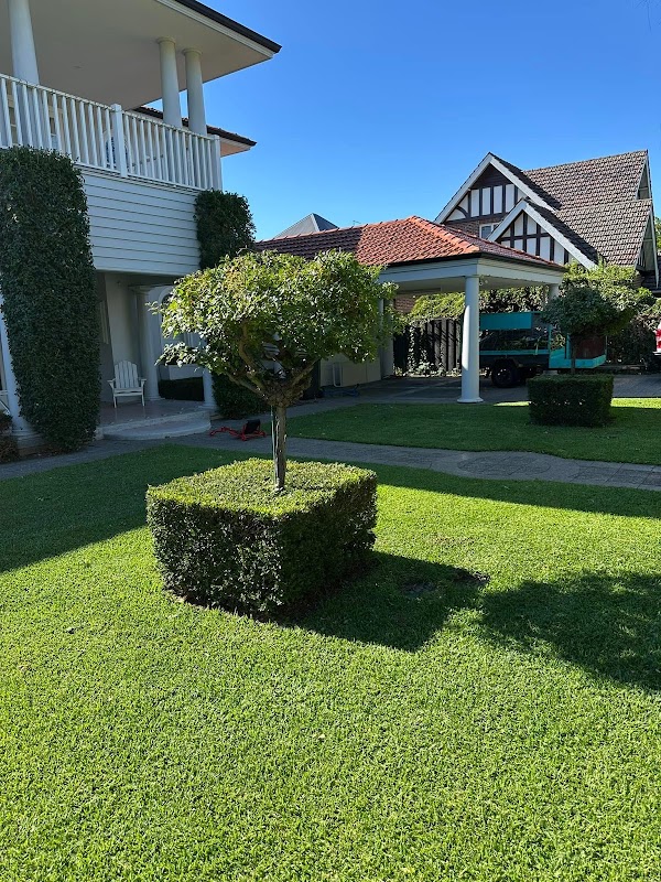 WILD TURF Lawns & Gardens photo 2