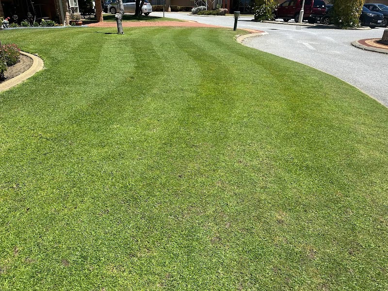 WILD TURF Lawns & Gardens photo 3