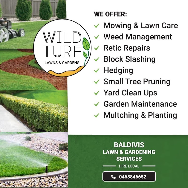 WILD TURF Lawns & Gardens project 4