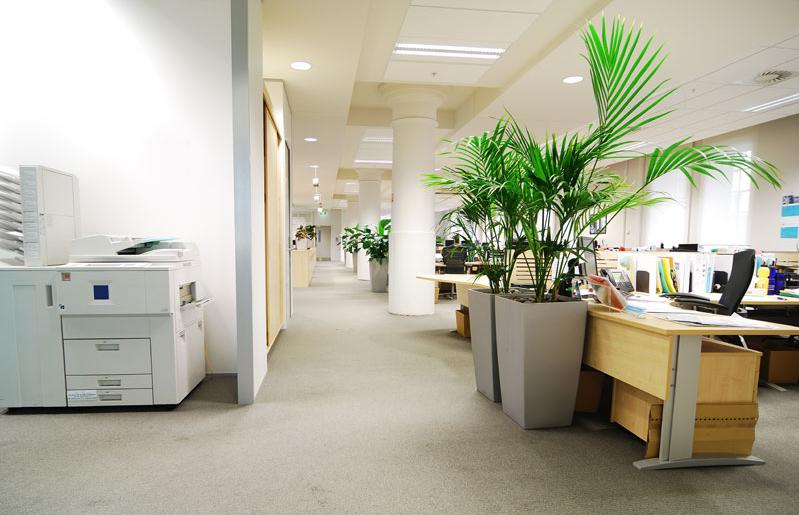 WOW Facility Cleaning Services work 4
