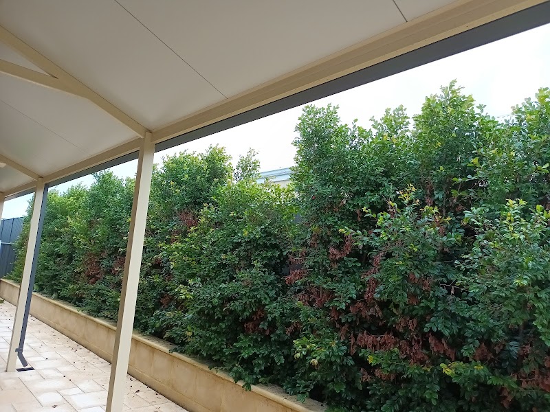 Yard Smart Yanchep project 6