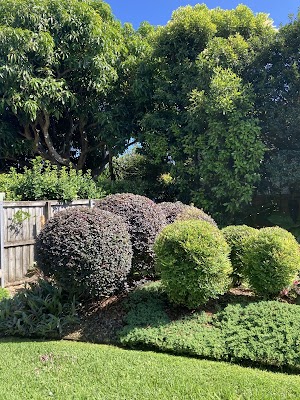 CENTRAL COAST KERB APPEAL work 2