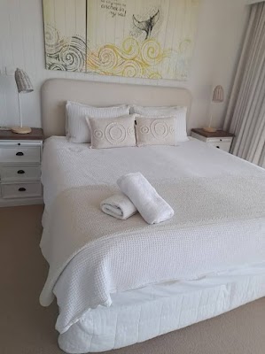 Crazy cleaning lady house cleaning