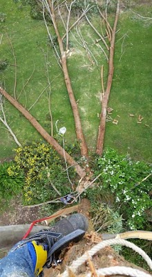 Eumeralla Contracting