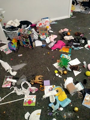 Every day bright clean