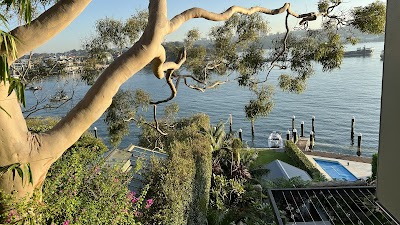 Floral Fantasy Landscapes