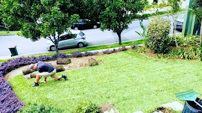 Get Laid-Turf install & Horticulture