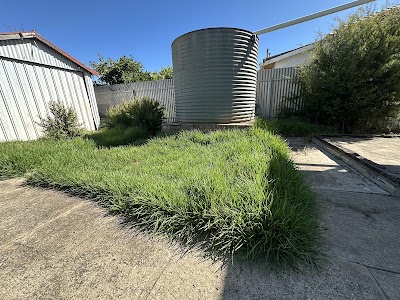 Glow up gardening services