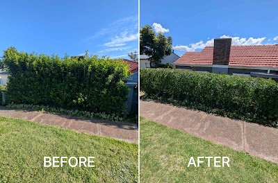 Gringo Yard And Garden Maintenance