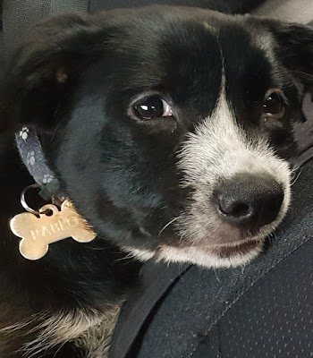 Jen's Home and Office Cleaning Services