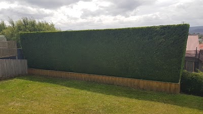 Lifestyle Garden Maintenance