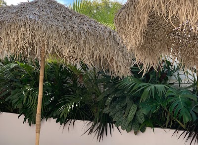 Living Areas - Nature in Style