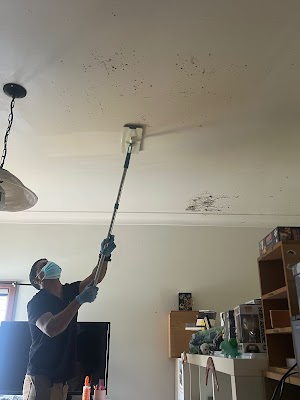 1plus cleaning services work 2