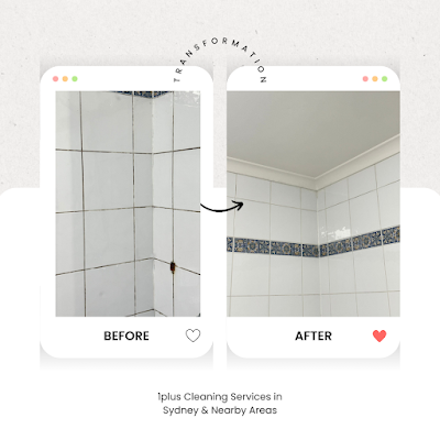 1plus cleaning services work 4