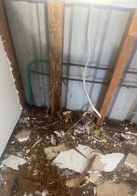 7 States Pest Control work 1