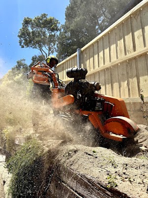 A.P. Tree Management photo 3