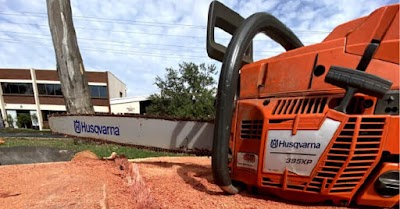 A.P. Tree Management project 6