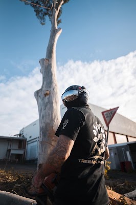 A.P. Tree Management photo 1